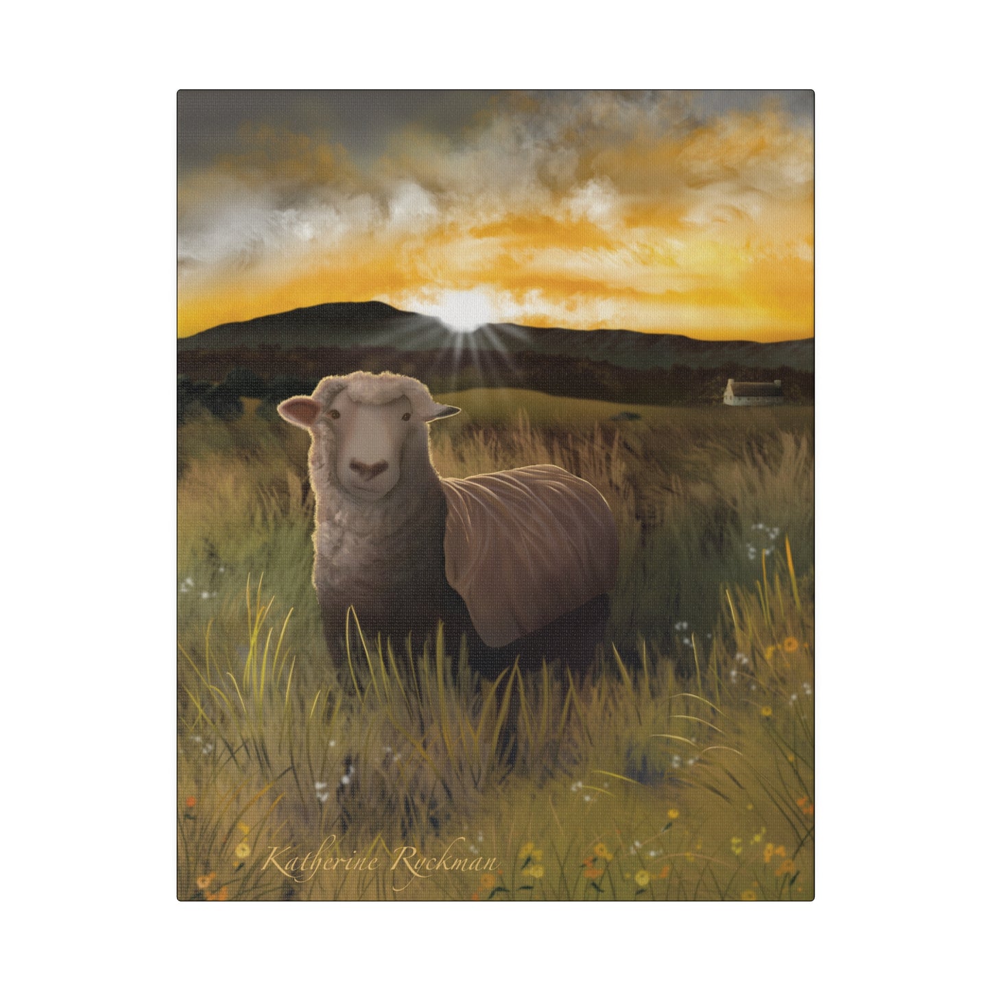 Canvas Print - Sheep Grazing at Sunrise, Matte, Stretched