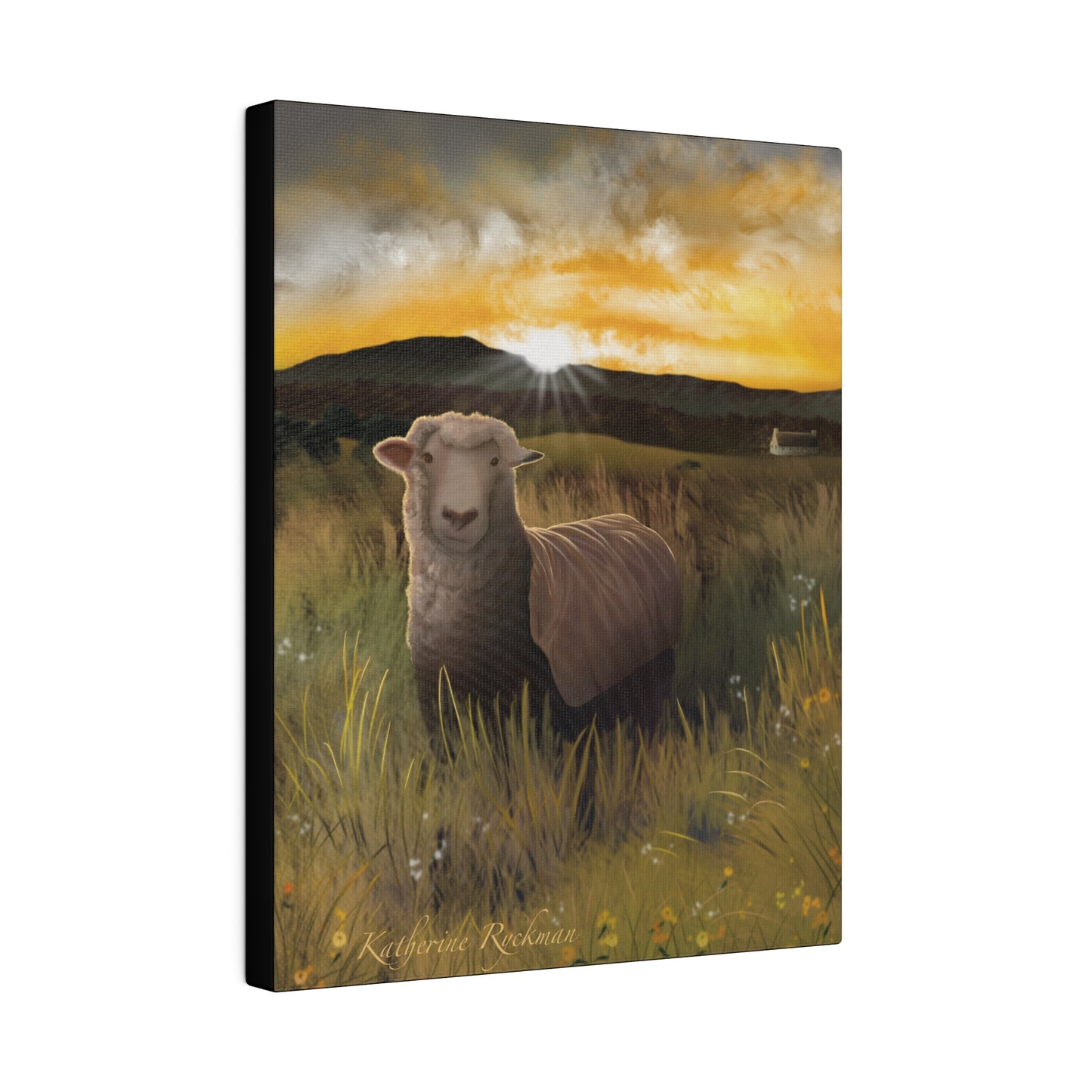 Canvas Print - Sheep Grazing at Sunrise, Matte, Stretched