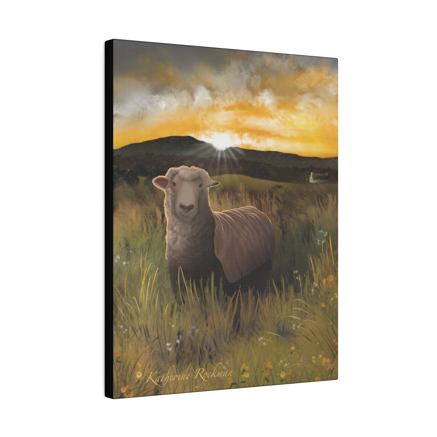 Canvas Print - Sheep Grazing at Sunrise, Matte, Stretched