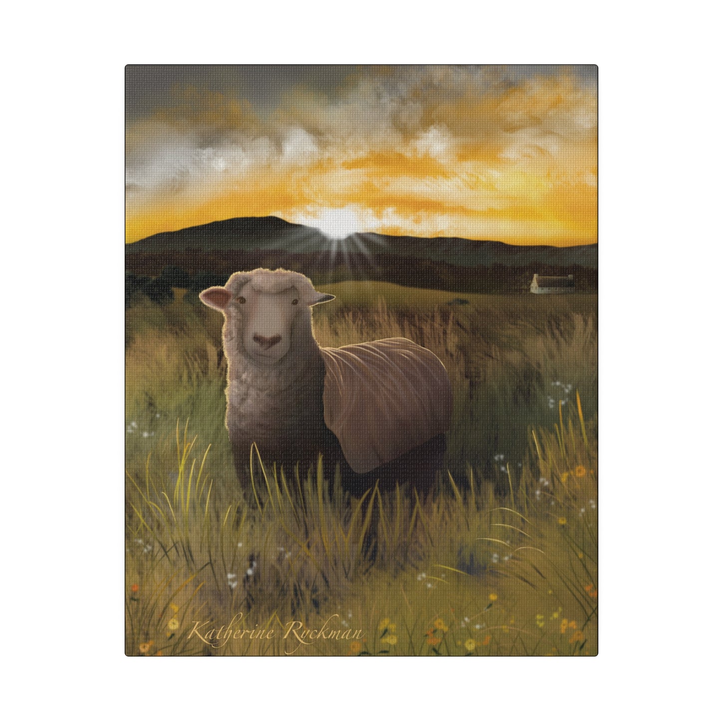 Canvas Print - Sheep Grazing at Sunrise, Matte, Stretched