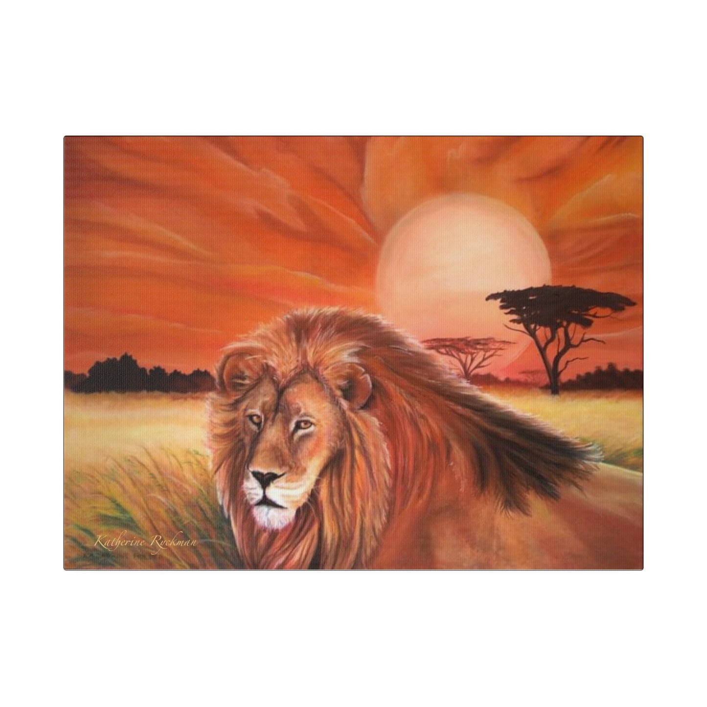 Lion Matte Canvas, Stretched, 0.75"